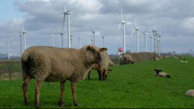 Große Koalition einigt sich bei Mindestabstand von Windrädern und Solardeckel