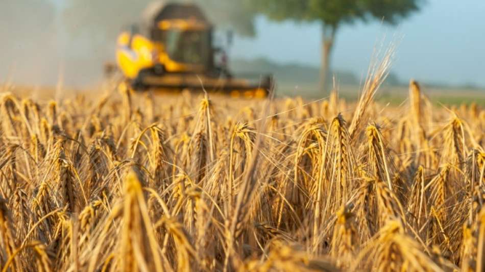 OECD hält Agrar-Förderpolitik für "dringend reformbedürftig"