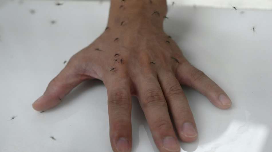 Forscher entdecken erstes mögliches Gegenmittel gegen Dengue-Fieber