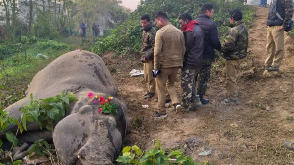 Zwei Elefanten in Indien bei Zusammenstoß mit Zug getötet