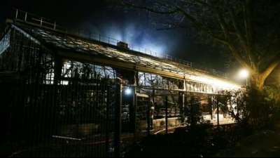 Mehr als 30 Tiere sterben bei Brand im Affenhaus des Krefelder Zoos