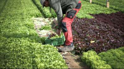 EU-Kommission lässt bei Kritik an Plänen für Agrarrefom nicht locker