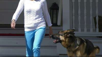 The First Dog - Pr&auml;sident Joe Bidens Sch&auml;ferhund Champ ist tot
