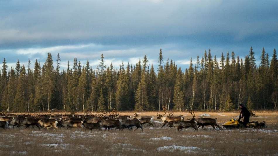 Schwedische Wahrheitskommission soll Verbrechen an Samen-Minderheit untersuchen