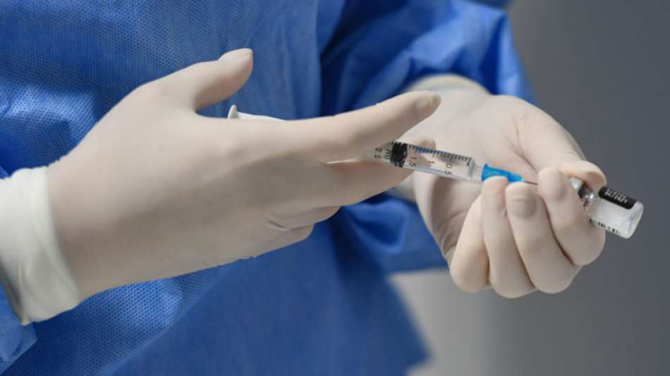 Kreml: Putin und Merkel beraten über Kooperation bei Corona-Impfstoffen