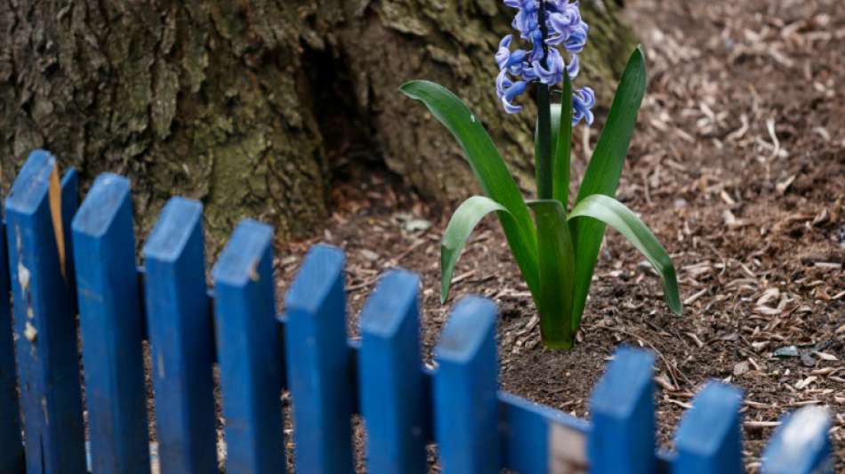 Durchschnittlicher Schrebergarten kostet zwischen 67 und 81 Euro Pacht im Jahr 