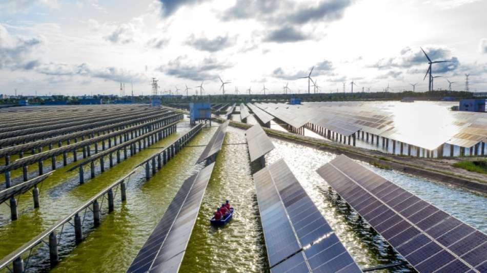 Umweltverbände fordern naturverträglichen Solarausbau