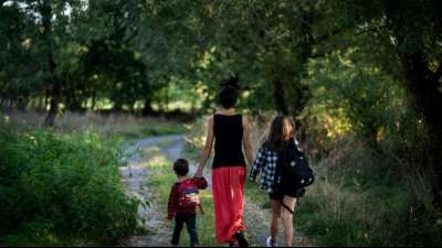IW: Paare ohne Kinder im Haushalt geh&ouml;ren zur Einkommensspitze