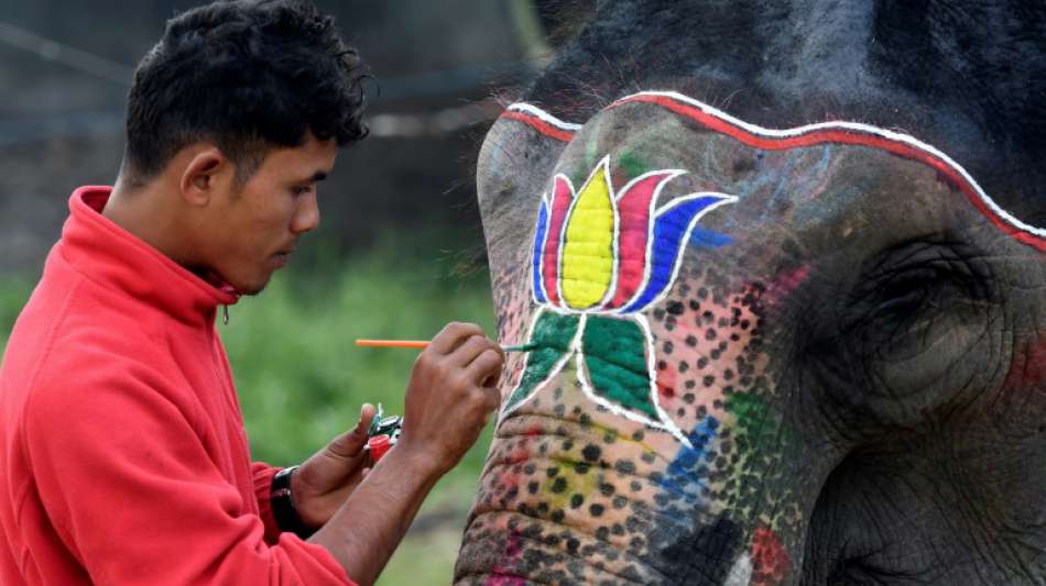 Nepal kürt trotz Kritik von Tierschützern schönsten Elefanten