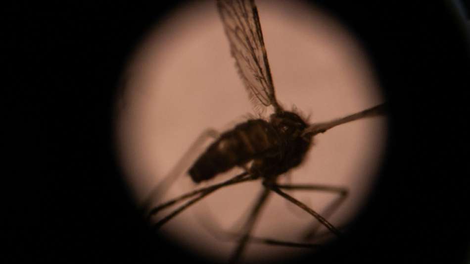 Studie untermauert Furcht vor Ausbreitung resistenter Malaria-Erreger in Afrika