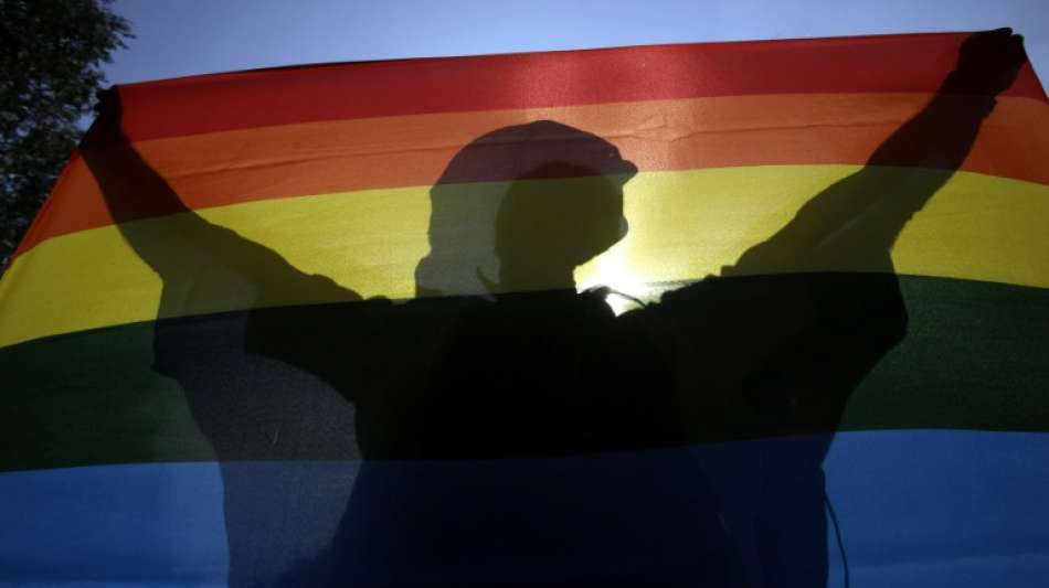 13 EU-Staaten verlangen Vorgehen Br&uuml;ssels gegen Ungarns Homosexuellen-Gesetz