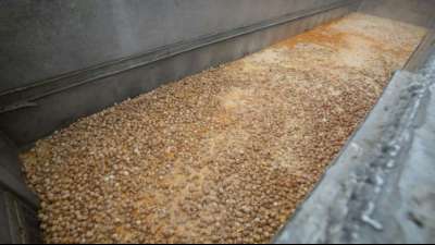 Verantwortliche f&uuml;r Fipronil-Skandal in Belgien vor Gericht