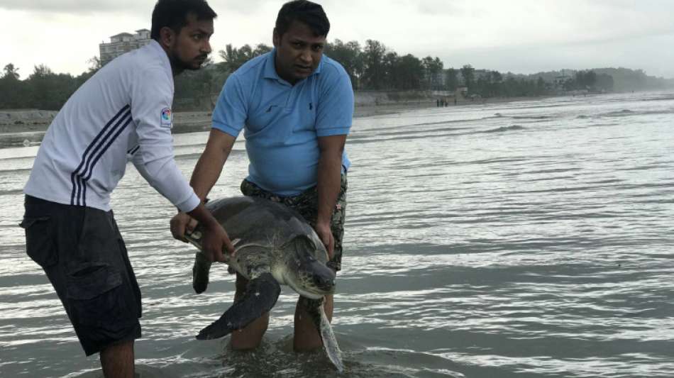 160 in Plastikmüll verfangene Meeresschildkröten in Bangladesch gerettet