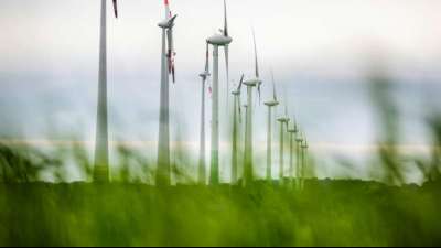 DIW-Studie: Preise f&uuml;r wichtige Metalle d&uuml;rften wegen Energiewende bald steigen