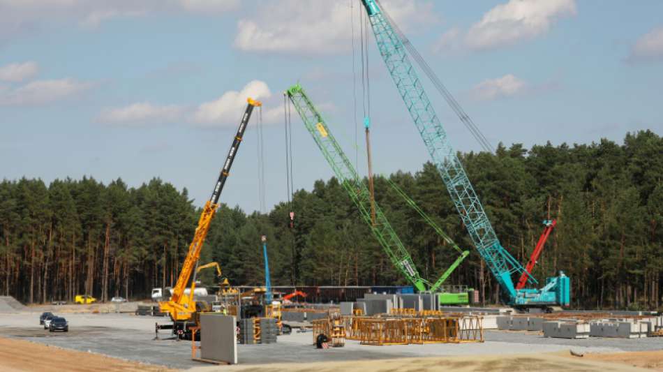 Kritik an Genehmigungsverfahren wegen verz&ouml;gerten Starts der Tesla-Fabrik
