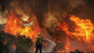 Feuerwerk auf Geschlechts-Enthüllungsparty löst Waldbrand in Kalifornien aus