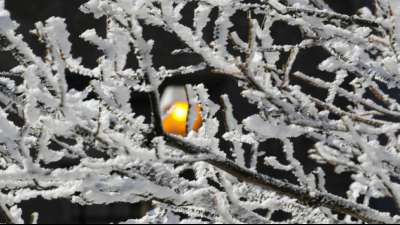 Frostiger April l&auml;sst Heizkosten steigen