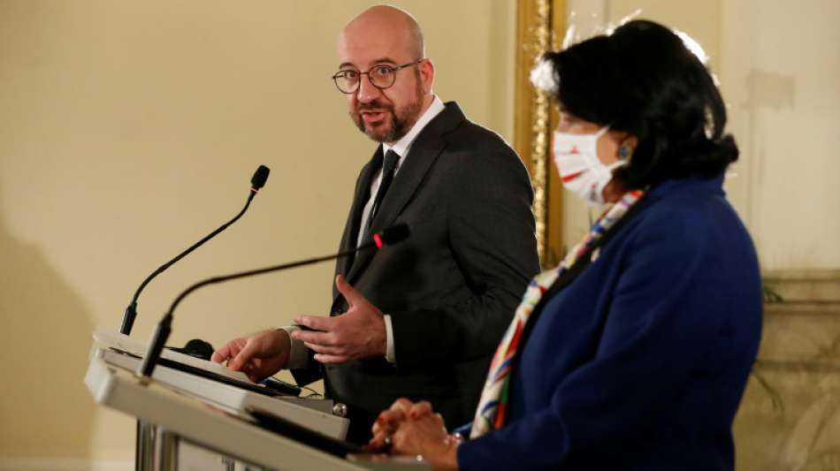 EU-Ratspr&auml;sident bietet Krisen-Vermittlung in Georgien an