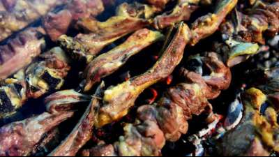 Grillgesch&auml;ft in Hessen darf unter denselben Auflagen &ouml;ffnen wie Baumarkt nebenan