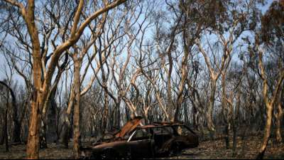 Australische Feuerwehr bringt größten Buschbrand unter Kontrolle