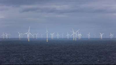 Windkraftanlagen im ersten Halbjahr nur zu einem Fünftel ausgelastet 