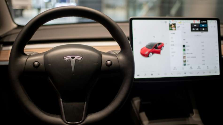 Tesla will Option f&uuml;r Videospiele w&auml;hrend der Fahrt wieder deaktivieren