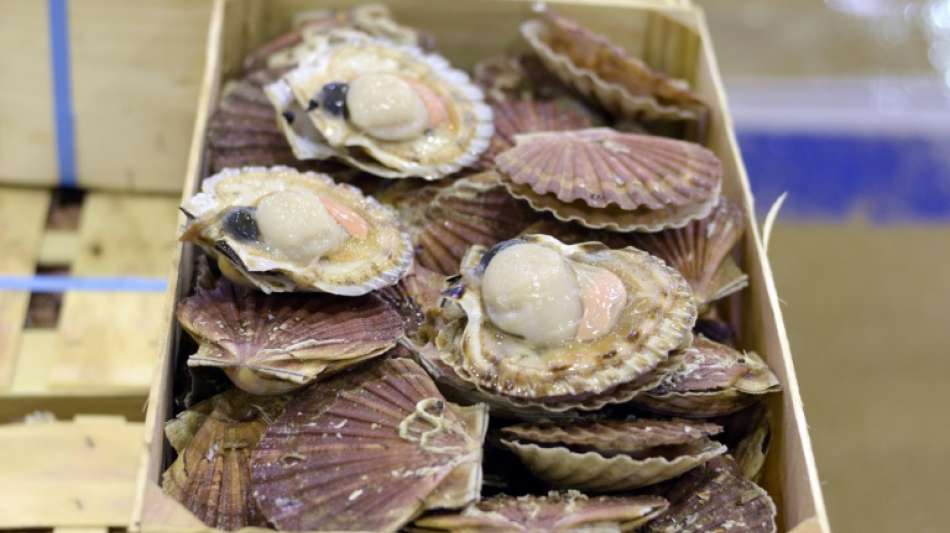 EU und USA nehmen den Handel mit Muscheln wieder auf