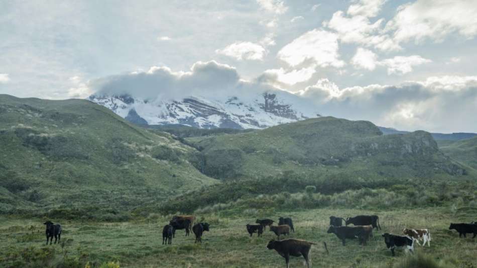 Bergsteiger sterben bei Lawinenabgang auf Vulkan in Ecuador