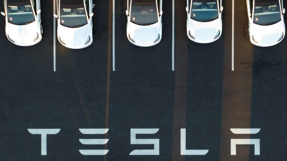 Medien: Umweltrechtliche Genehmigung f&uuml;r Tesla-Werk in Brandenburg steht kurz bevor
