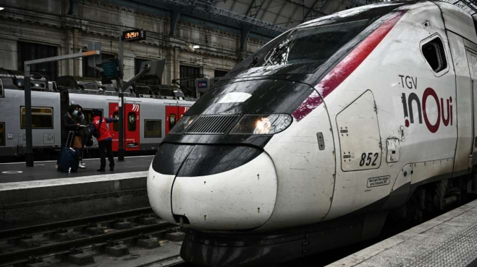 Zum Beginn der Schulferien fallen in Frankreich zahlreiche Züge aus 