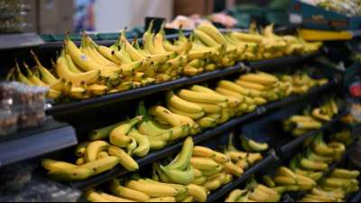 Auch Amazon muss die Herkunft von Obst und Gem&uuml;se vorab ausweisen