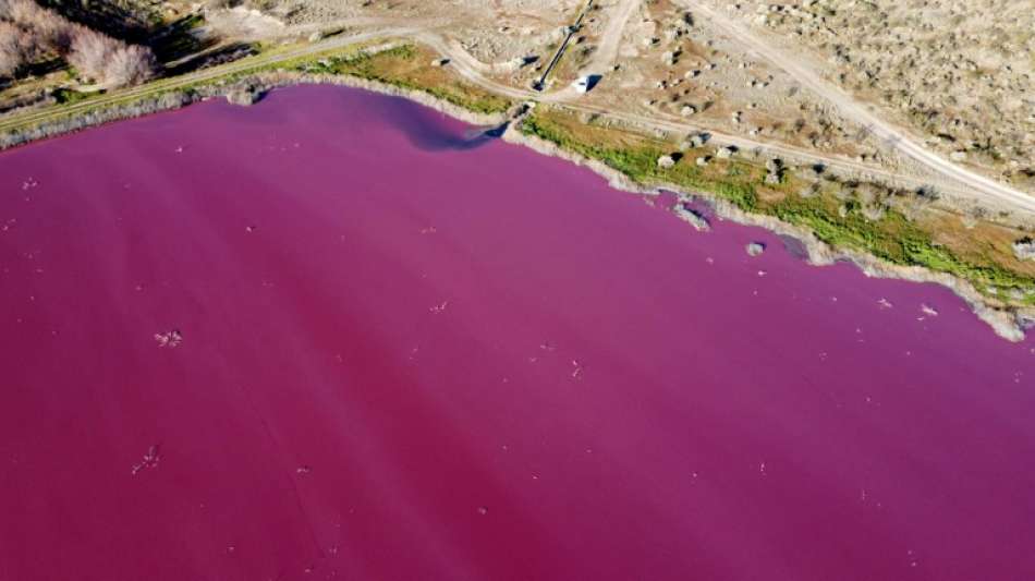 Umwelt: Industriechemikalien färben Lagune in Argentinien pink 