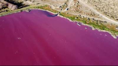 Umwelt: Industriechemikalien f&auml;rben Lagune in Argentinien pink 