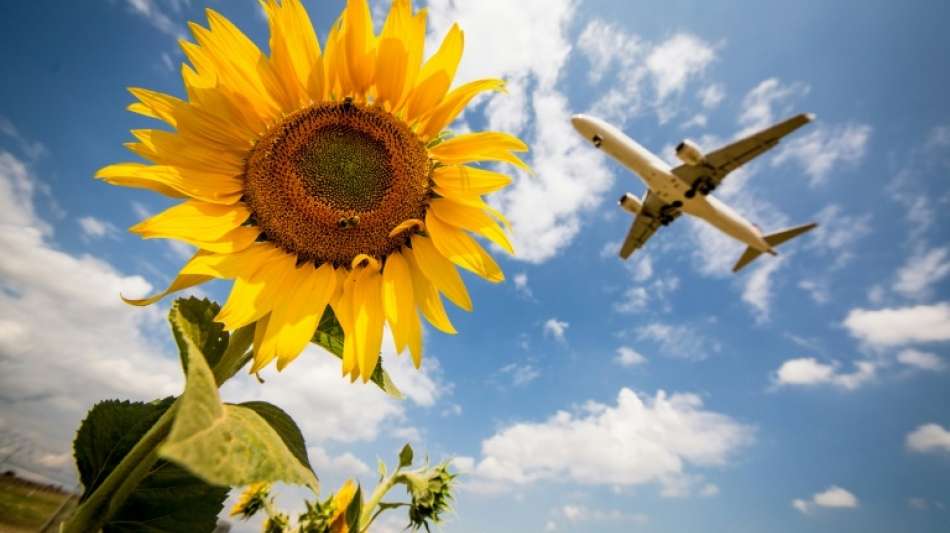  Lufthansa-Fluggäste gleichen seltener ihren CO2-Verbrauch aus
