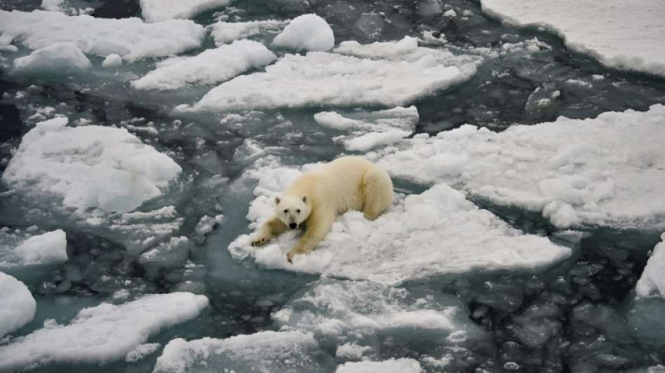 Eisr&uuml;ckgang in der Arktis in diesem Sommer relativ moderat ausgefallen