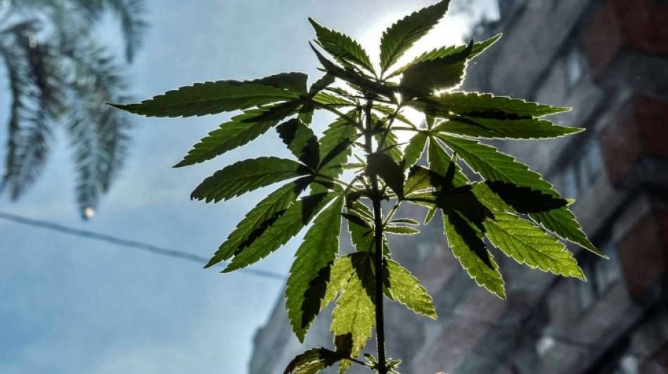 Ermittlungen gegen Unbekannt nach R&uuml;ckruf von Cannabisprodukten bei Lidl 