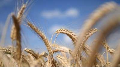 EU-Kommission setzt bei F&ouml;rderung von Bio-Landwirtschaft auf Verbraucher
