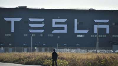 Tesla liefert die ersten in China gebauten Autos an Kunden aus