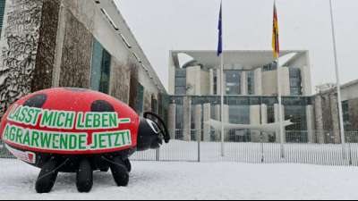 Koalition einigt sich nach monatelangem Streit auf Insektenschutzgesetz