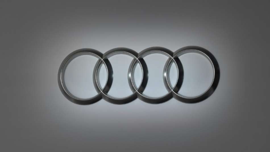 Kraftfahrt-Bundesamt gerät in Diesel-Affäre bei Audi in die Kritik 