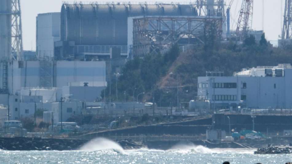 Schulze mit Zw&ouml;lf-Punkte-Plan f&uuml;r Vollendung des Atomausstiegs vor