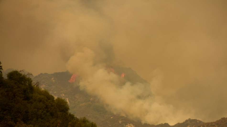 Schlimme Br&auml;nde im Sommer haben zu CO2-Aussto&szlig; in Rekordh&ouml;he gef&uuml;hrt