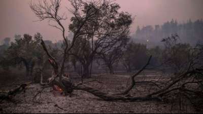 Kleinstadt Istiea auf griechischer Insel Eub&ouml;a von Waldbrand bedroht