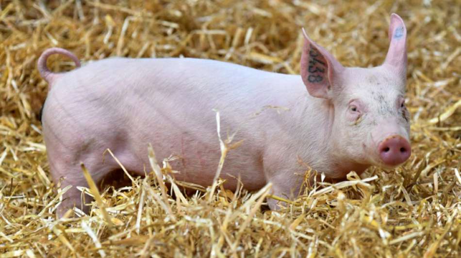 Pro-Kopf-Verzehr von Fleisch geht zur&uuml;ck