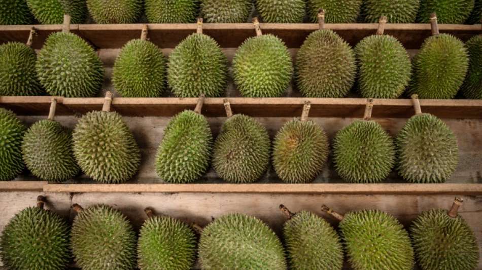 Vermeintliches Gasleck in Australien entpuppt sich als Stinkefrucht