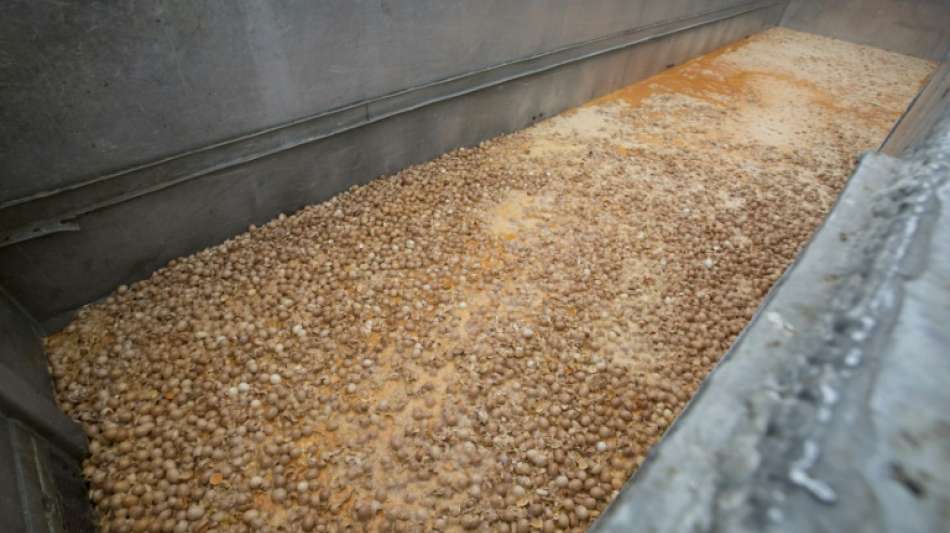 Haftstrafe im Prozess in Belgien um Fipronil-Skandal verh&auml;ngt