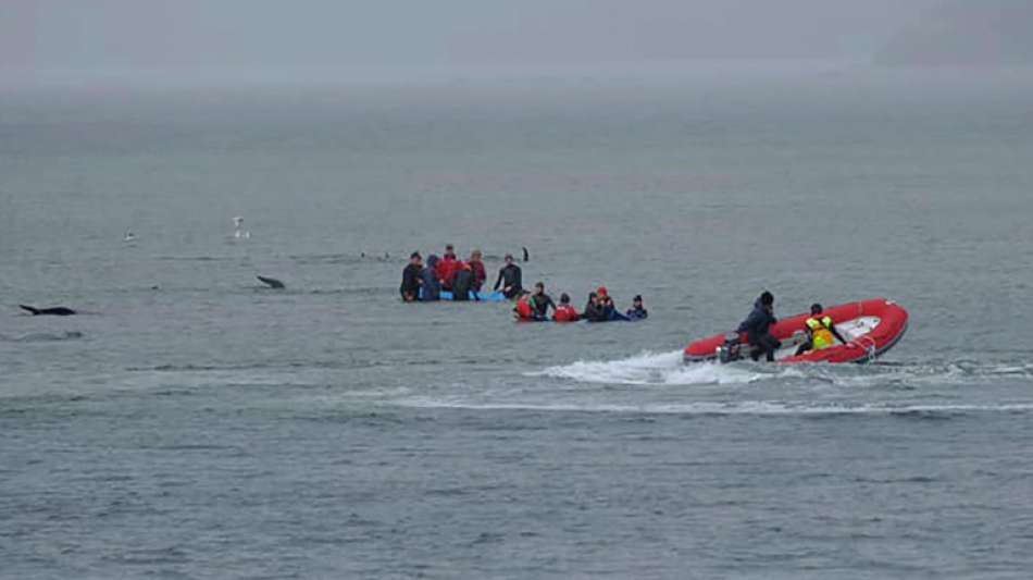 Wettlauf gegen die Zeit zur Rettung von 180 Walen vor Australiens Küste