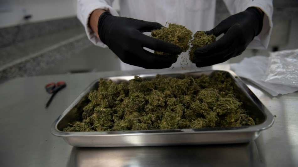 Cannabis-Anbieter Cantourage aus Berlin bereitet B&ouml;rsengang vor