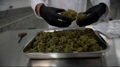 Cannabis-Anbieter Cantourage aus Berlin bereitet B&ouml;rsengang vor