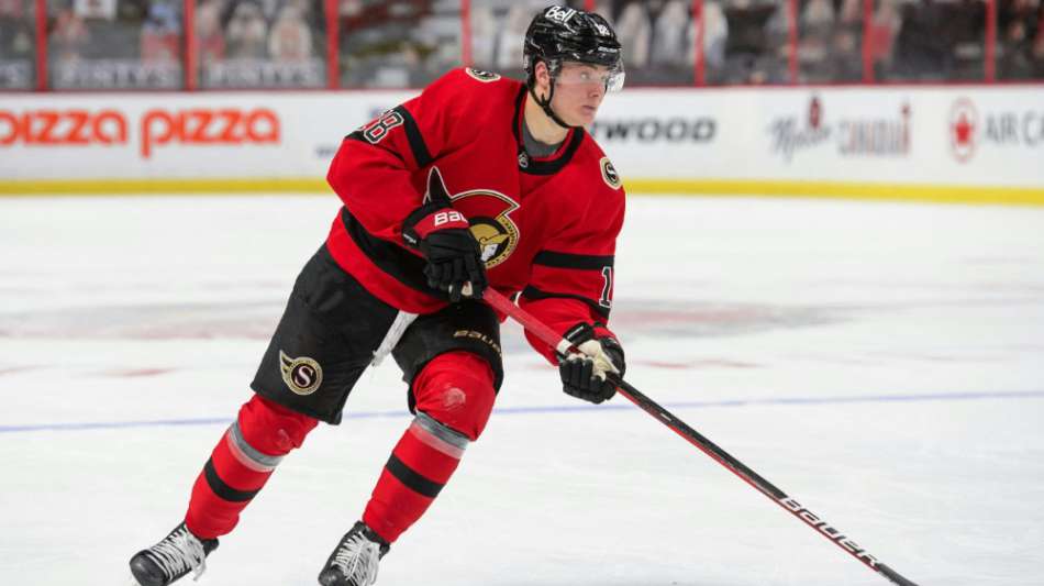 NHL: St&uuml;tzle, Rieder und Greiss &auml;rgern sich &uuml;ber Niederlagen